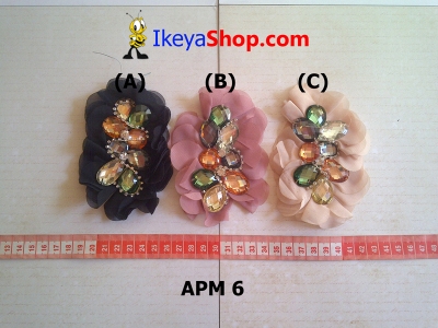 APM 6  large2